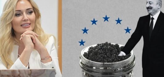 Safeguarding Impartiality: A Call to the UN